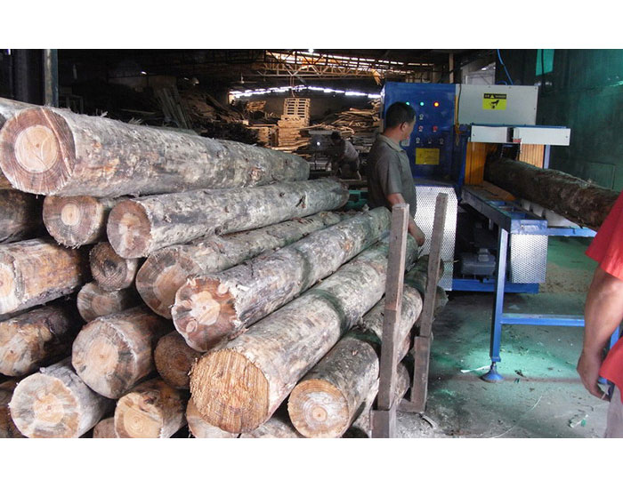 浙江省寧波市北侖區(qū)-圓木350機加工現(xiàn)場0