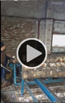 方木多片鋸，全自動(dòng)圓木方木生產(chǎn)流水線加工視頻、方料多片鋸