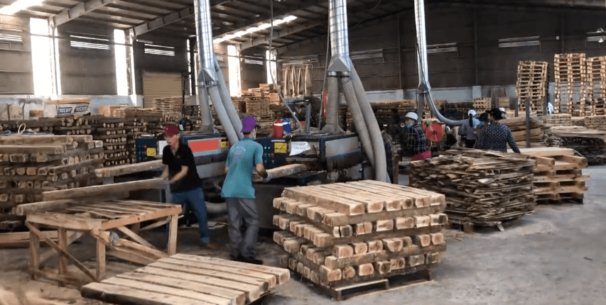 原木多片鋸生產(chǎn)線(xiàn)，越南????客戶(hù)使用現(xiàn)