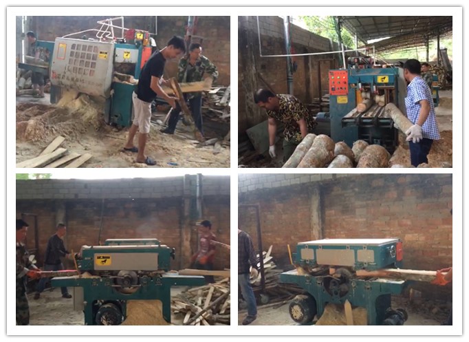 南海三亞--雙排鏈原木多片鋸、簡易板式多片鋸工作圖