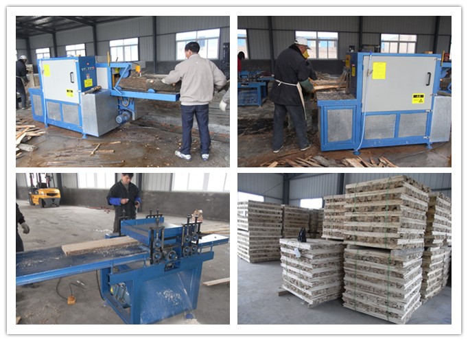 江蘇淮安市楚洲--原木、方木多片鋸、清邊機(jī)工作圖