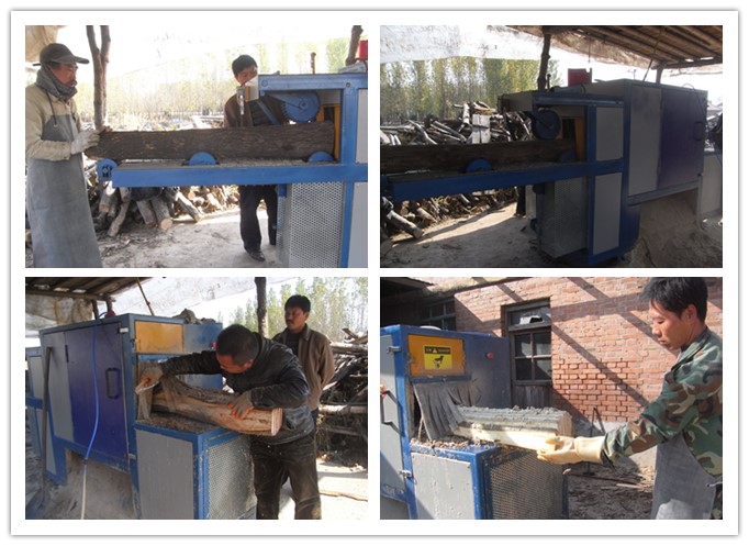 山西長(zhǎng)治--原木多片鋸工作圖