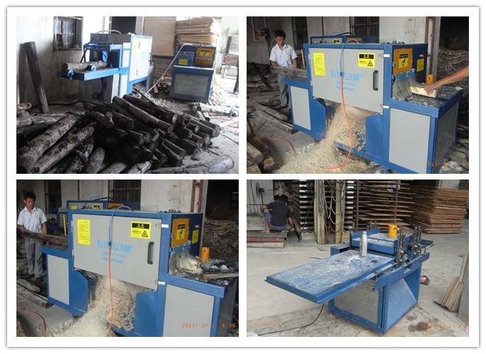 安徽蕪湖-原木多片鋸、清邊機(jī)工作圖