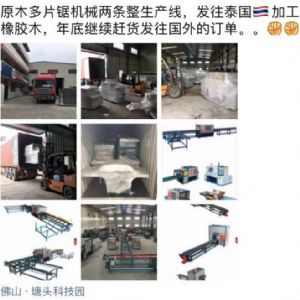 發(fā)往泰國(guó)客戶的400機(jī)型-250型原木多片鋸生產(chǎn)線專柜