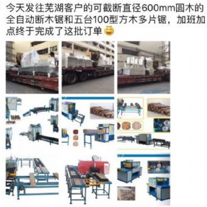 發(fā)往國(guó)內(nèi)客戶的原木多片鋸生產(chǎn)線專柜