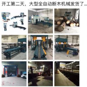 2017年發(fā)貨國內(nèi)250型原木斷木機生產(chǎn)線 圓木截木機，鋸木機生