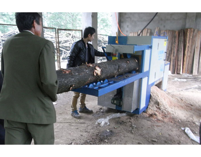 湖南省岳陽(yáng)市-250圓木多片鋸加工現(xiàn)場(chǎng)