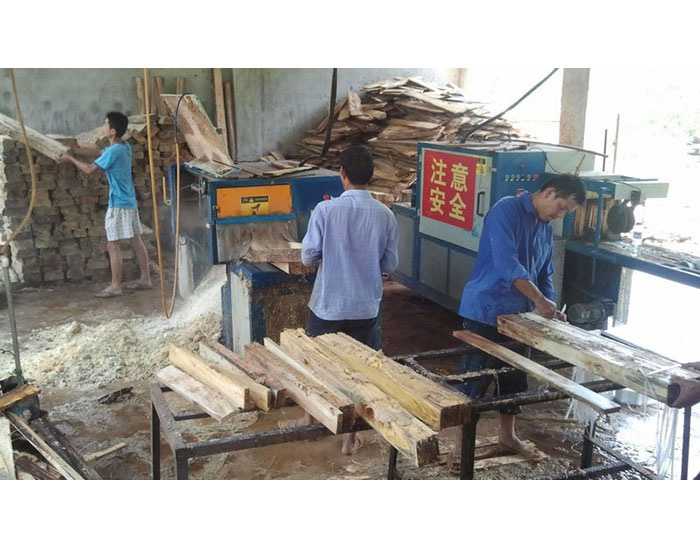 湖南省岳陽(yáng)市-圓木多片鋸250加工現(xiàn)場(chǎng)