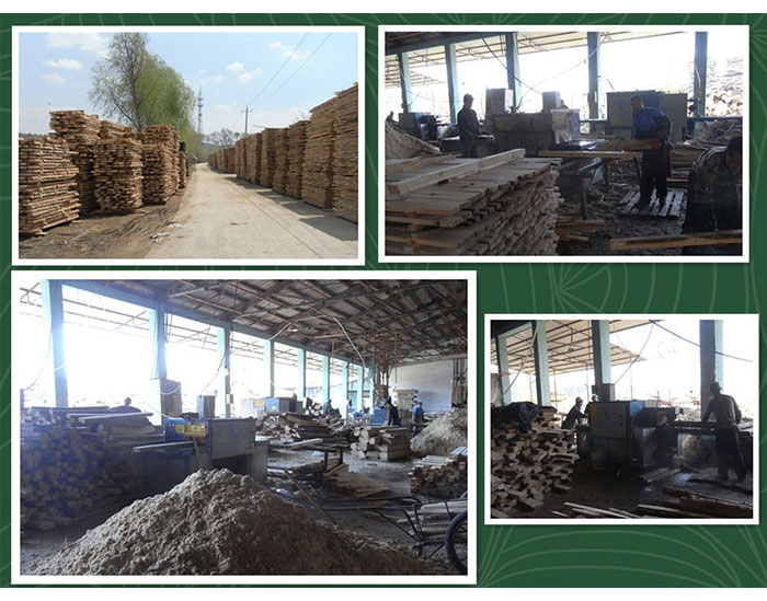 吉林梅河口-圓木300多片鋸-方木150高多片鋸加工現(xiàn)場(chǎng)