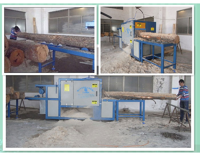 江蘇-350原木多片鋸-加工現(xiàn)場(chǎng)