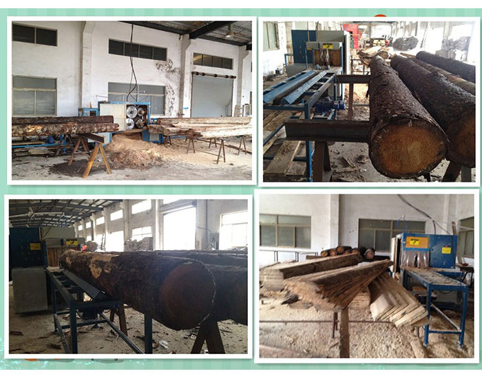 江蘇-350原木多片鋸-加工現(xiàn)場(chǎng)0