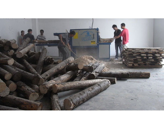 江蘇宿遷泗陽-250圓木多片鋸加工現(xiàn)場