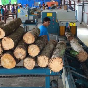 全自動多片鋸生產(chǎn)線在斯里蘭卡客戶現(xiàn)場1